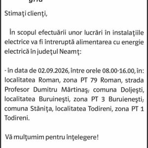 Anunturi DELGAZ GRID 11 Anunturi DELGAZ GRID