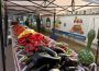 Recolte record, prețuri sub cost, anul pe care fermierii vor să-l uite: „Produsele românești rămân superioare calitativ, dar agricultorii noștri nu sunt suficient de organizați”
