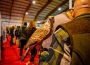Weekend de poveste în Bacău: începe Hunting Moldavia- Expo Vânătoare, Pescuit & Outdoor 2026 și Festivalul HuntFest