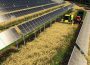 Agrivoltaica, soluția care combină agricultura cu energia solară. Cine câștigă din această tranziție?