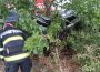 Vaslui. Accident la intrarea în localitatea Ivești – un șofer a intrat cu mașina într-un copac