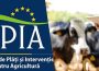 APIA Bacău dă startul plăților în avans pentru Campania 2026: Peste 1.300 de lei/cap de animal și până la 400 de lei/ hectar pentru fermieri