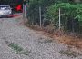 Video. A abandonat un câine pe domeniul public și a primit o amendă de 12.000 de lei