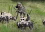 „Roboții ucigași” și riscul AI: de ce protecția fizică ar putea fi mai realistă decât un tratat global