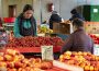 Merele românești ar putea să le ia fața celor din Polonia în următorul an. Care este avantajul poamelor produse în țara noastră