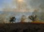 FOTO. Aproximativ 50 ha de vegetație uscată au ars în urma unui incendiu