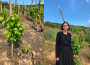 Julia Scavo, la un pas de obținerea titlului de Master of Wine. Excelența începe în vie și nu se termină în pahar