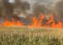 Bacău. Peste 80 de hectare de vegetație uscată au ars în comuna Orbeni – intervenția a durat mai bine de 7 ore