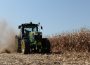 Editorial | Cerealele românești, lăsate pe linie moartă, agricultorii, trimiși spre faliment